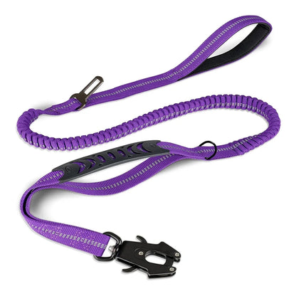 Pet Leashes