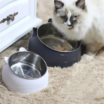 100ML Cat Dog Bowl 15 Degrees Raised Non Slip