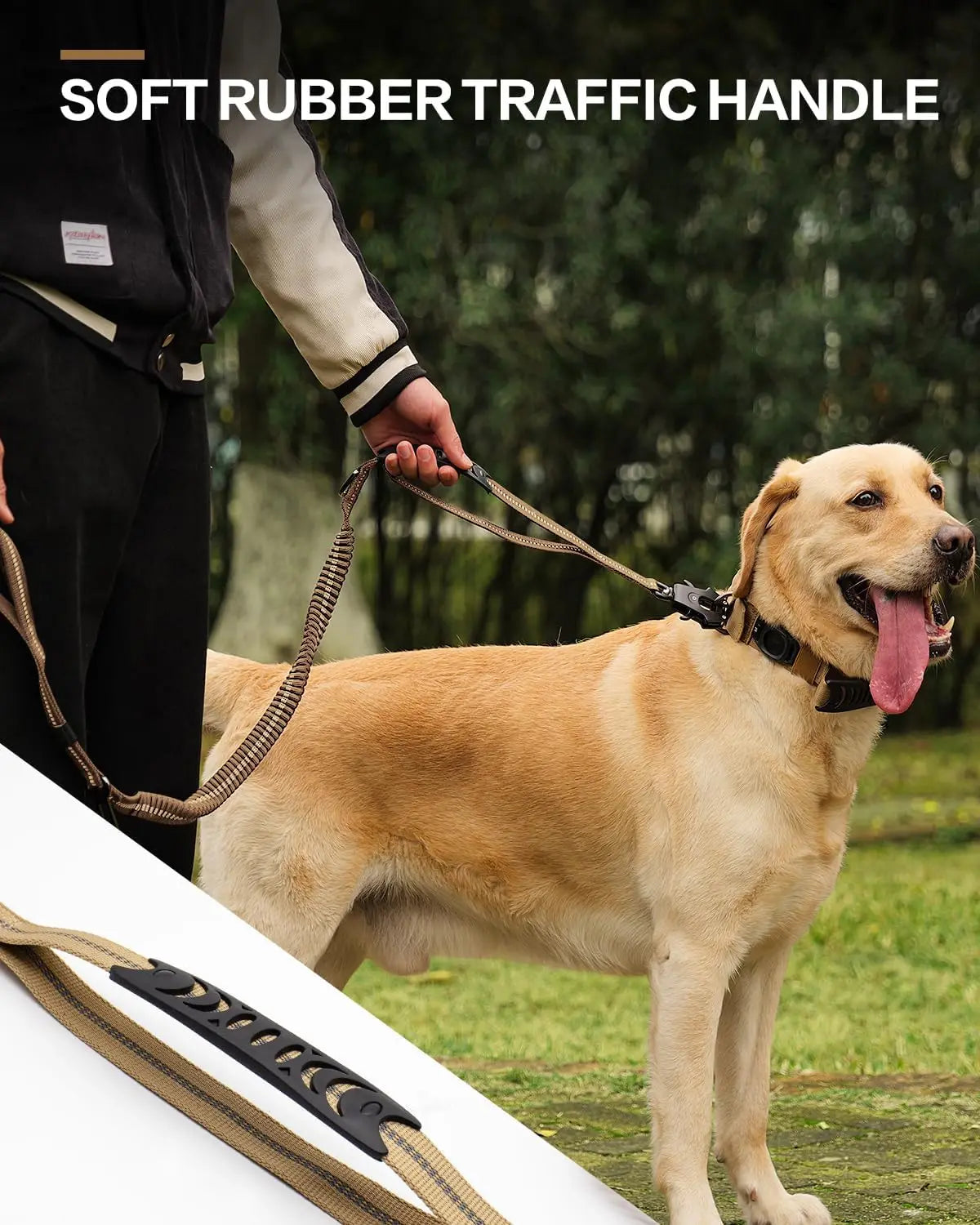 Pet Leashes