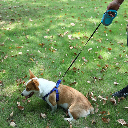 3 Meters 5 Meters Retractable Dog Leash