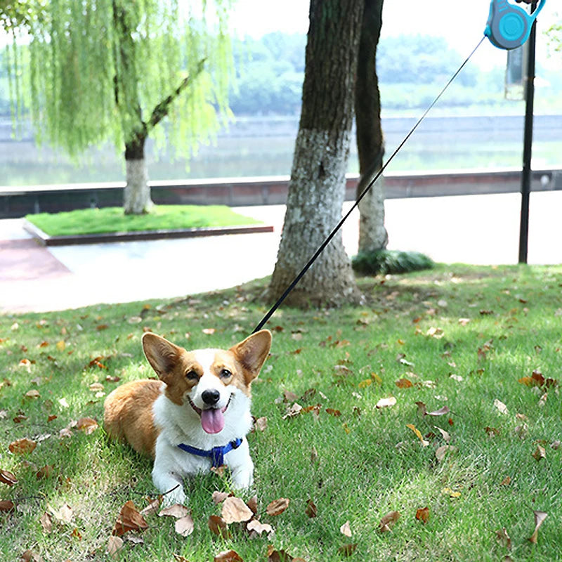 3 Meters 5 Meters Retractable Dog Leash